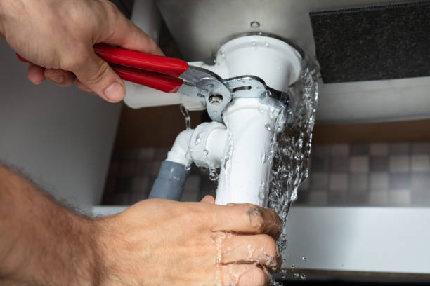 Best Local water damage restoration  in Pine Valley, CA