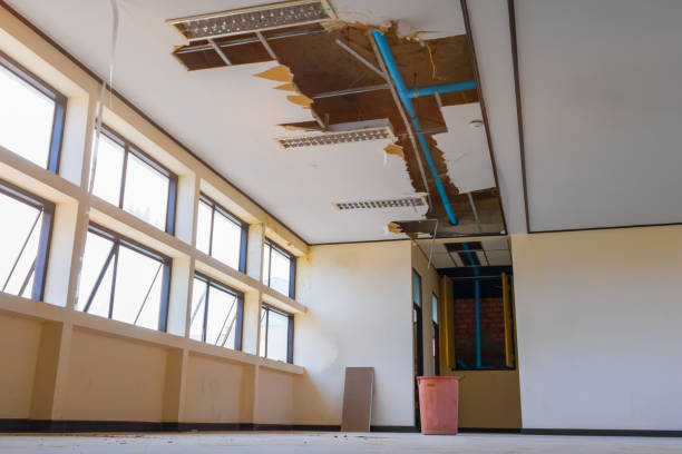 Best Sewage cleanup and water damage restoration  in Pine Valley, CA