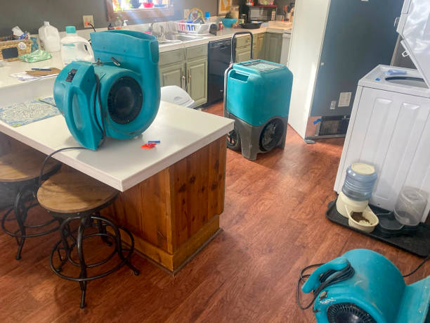 Water damage restoration insurance claims in Pine Valley, CA