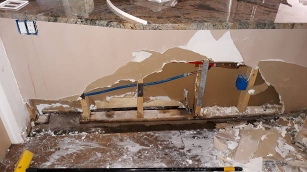 Best Ceiling water damage repair  in Pine Valley, CA