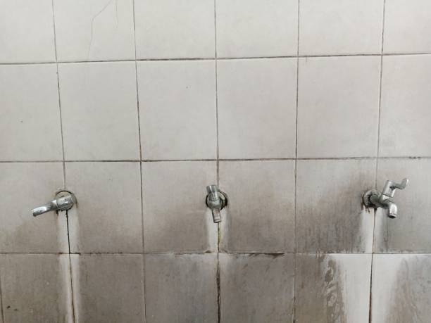 Reliable Pine Valley, CA Water damage restoration Solutions