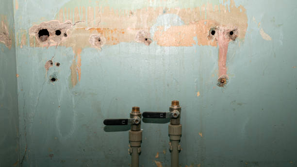 Best Professional water damage repair  in Pine Valley, CA
