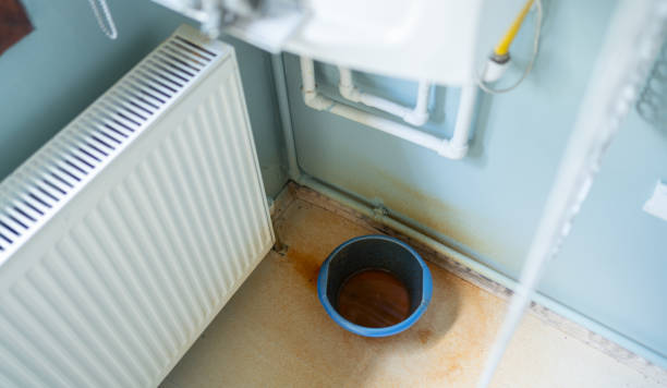 Best 24-hour water damage restoration  in Pine Valley, CA