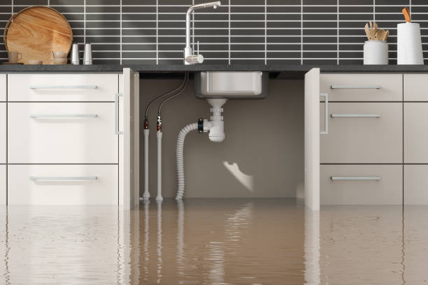 Professional Water damage restoration in Pine Valley, CA